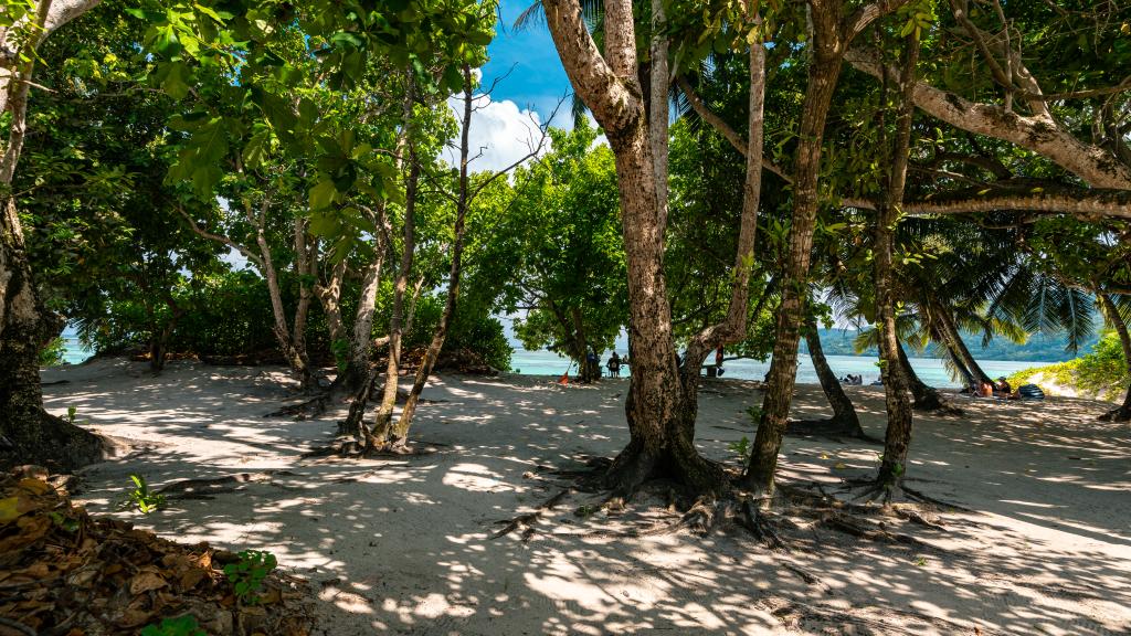 Photo 20: Ocean Pearl Villa - Mahé (Seychelles)