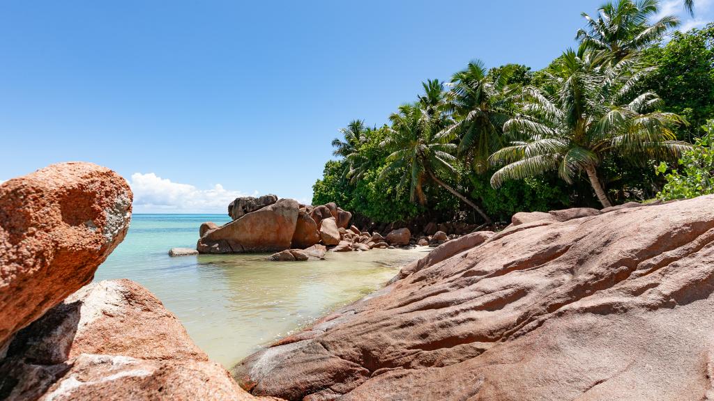 Photo 29: Leo Self Catering - Praslin (Seychelles)