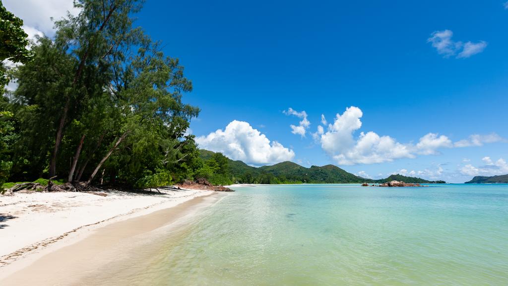 Photo 28: Leo Self Catering - Praslin (Seychelles)