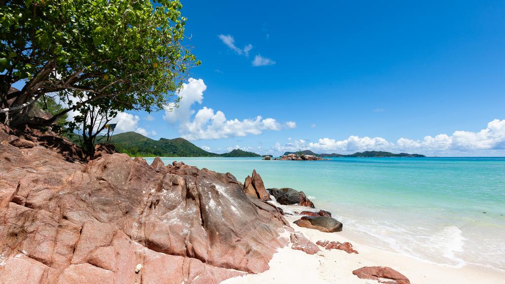 Photo 27: Leo Self Catering - Praslin (Seychelles)