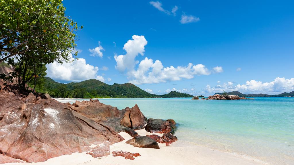 Photo 25: Leo Self Catering - Praslin (Seychelles)