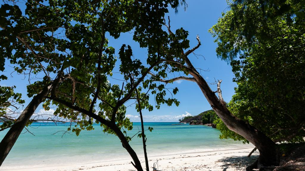 Foto 24: Leo Self Catering - Praslin (Seychellen)