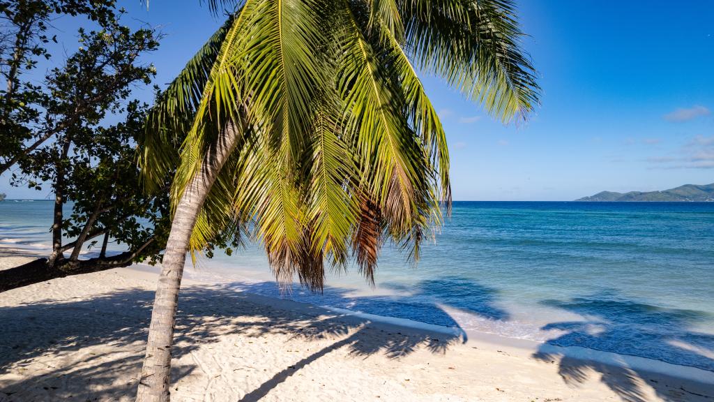 Foto 4: Villa Corossol - La Digue (Seychelles)