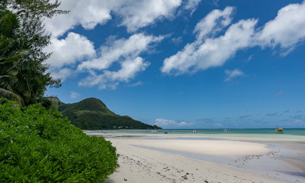 Yvon's Tropical Villa