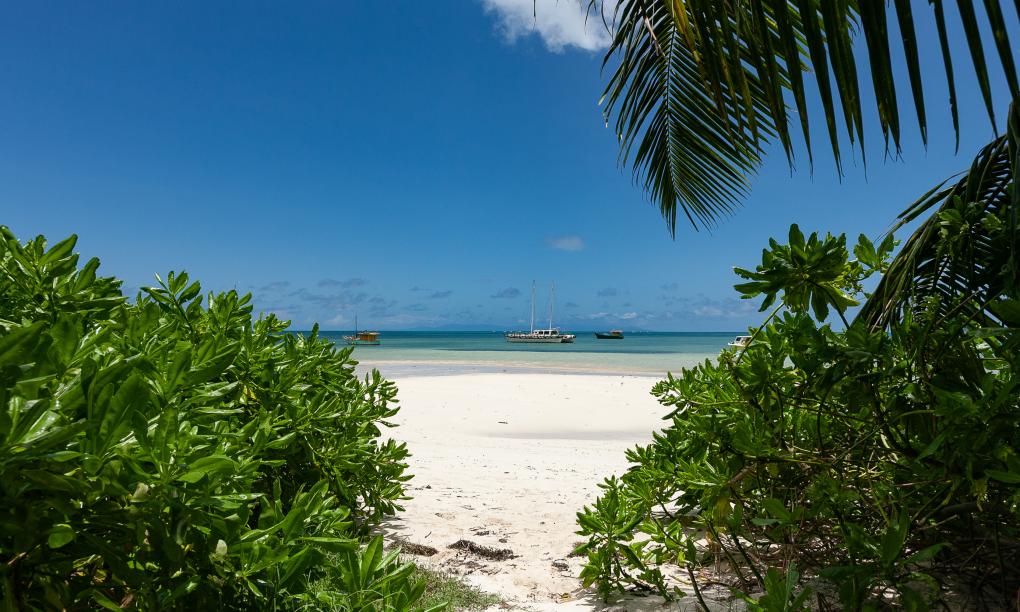 Yvon's Tropical Villa