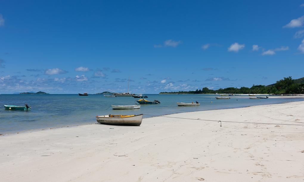 Yvon's Tropical Villa