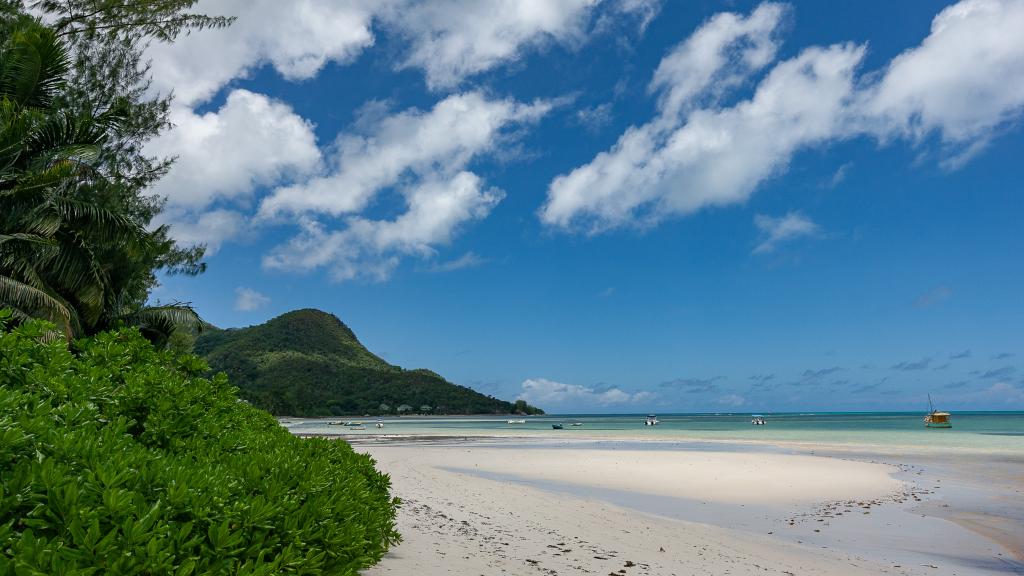 Foto 30: Yvon's Tropical Villa - Praslin (Seychellen)