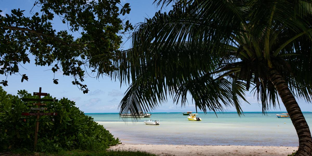 Yvon's Tropical Villa