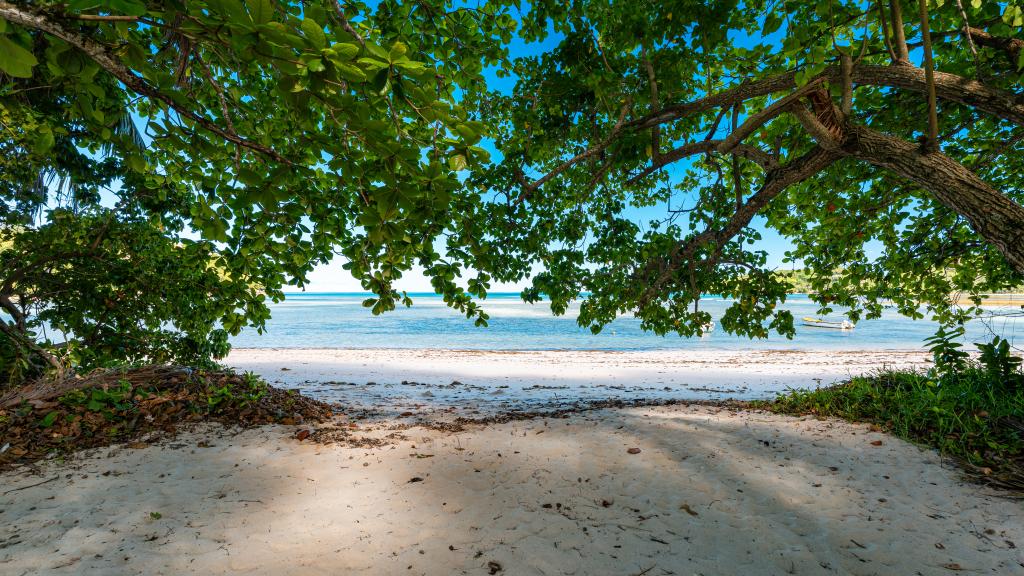 Photo 24: Chello's Villa - Mahé (Seychelles)