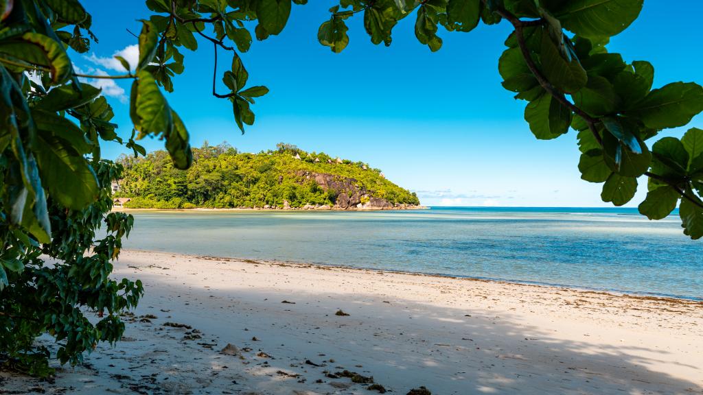 Photo 32: Chello's Villa - Mahé (Seychelles)