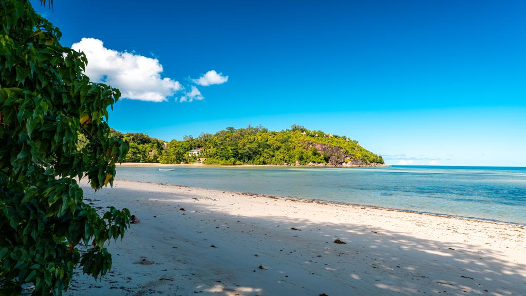 Photo 28: Chello's Villa - Mahé (Seychelles)