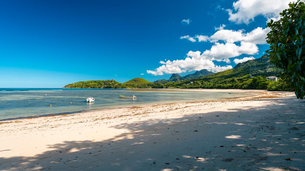 Photo 33: Chello's Villa - Mahé (Seychelles)