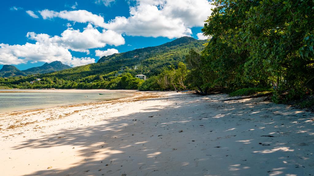 Photo 26: Chello's Villa - Mahé (Seychelles)