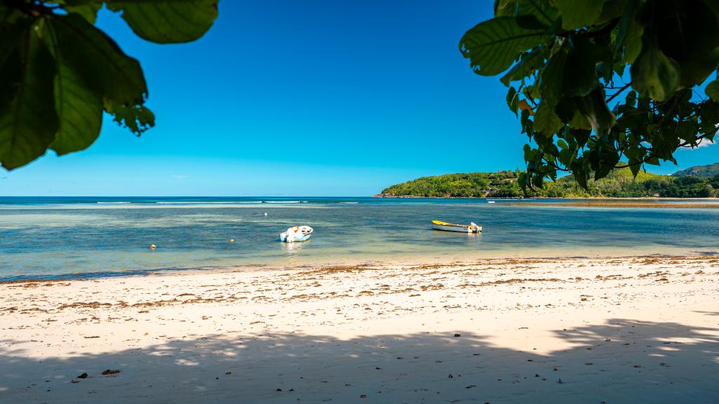 Photo 27: Chello's Villa - Mahé (Seychelles)