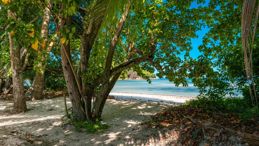 Photo 31: Chello's Villa - Mahé (Seychelles)