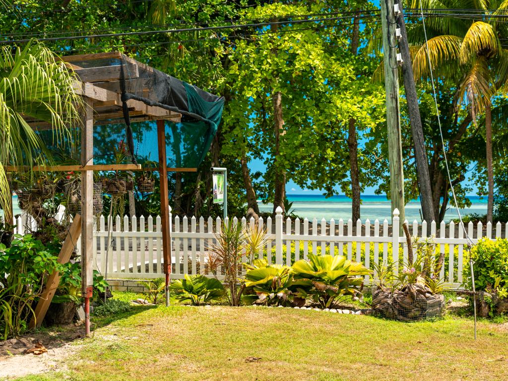 Chello's Villa - Photo 5