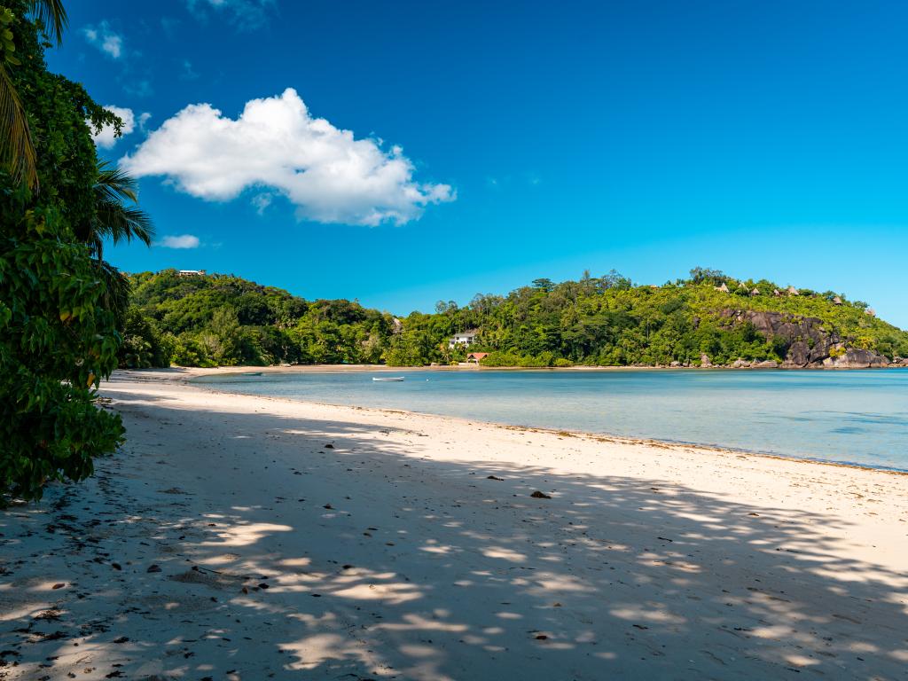 Chello's Villa - Photo 3