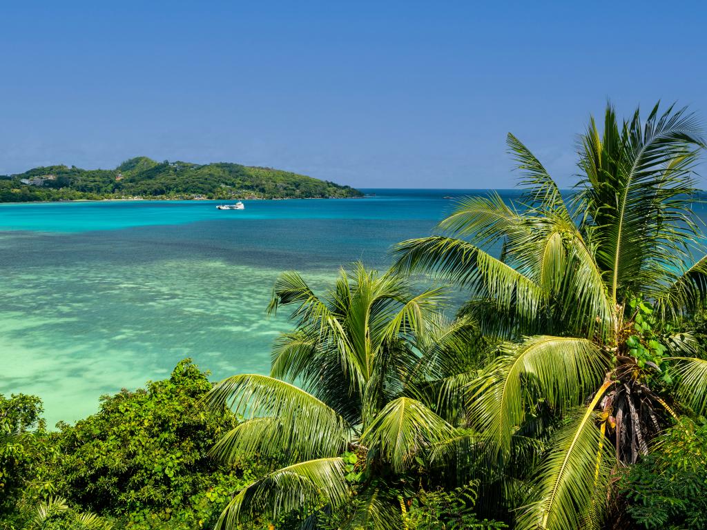 Sailfish Beach Villas - Fotografie 5