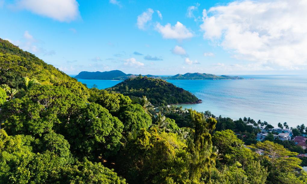 Paragon Luxury Villa