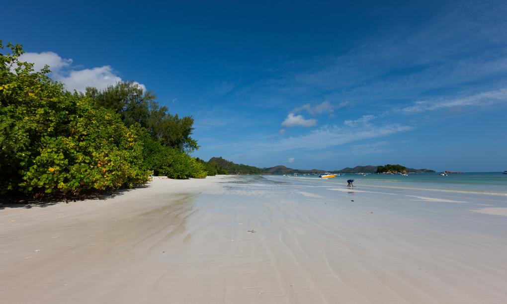 Paragon Luxury Villa