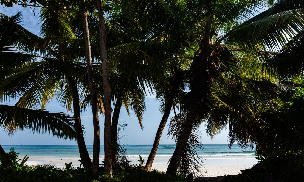 Paragon Luxury Villa