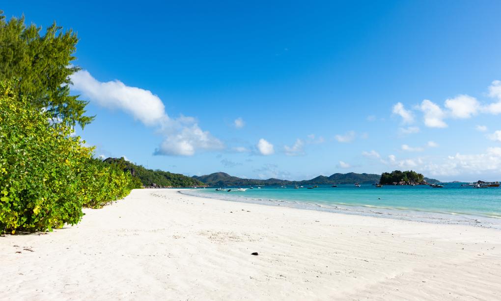 Paragon Luxury Villa