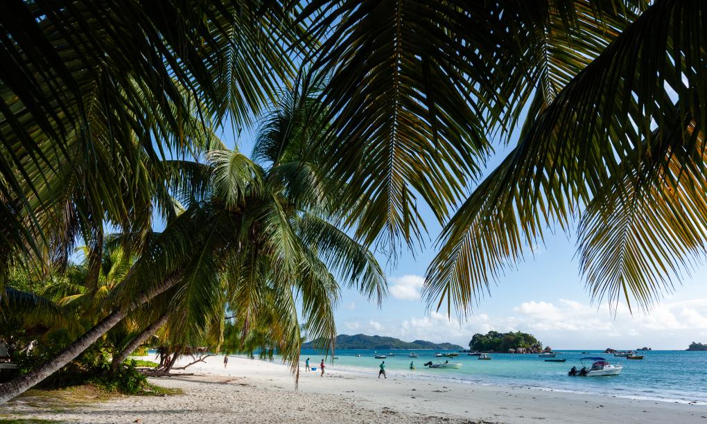 Paragon Luxury Villa