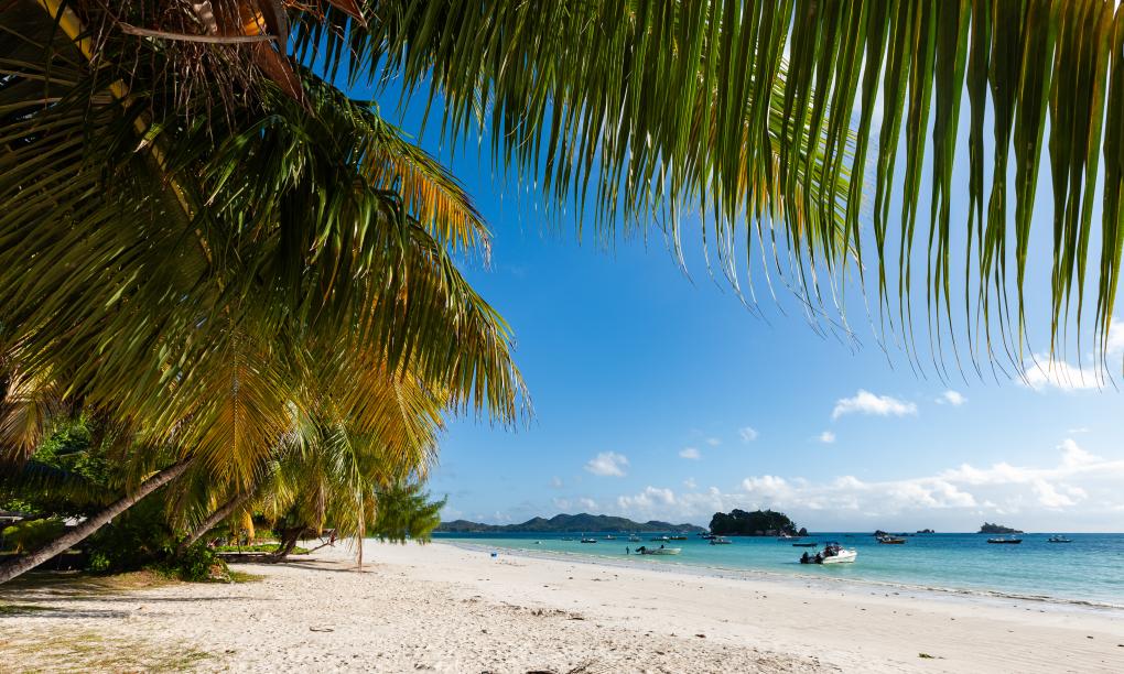 Paragon Luxury Villa