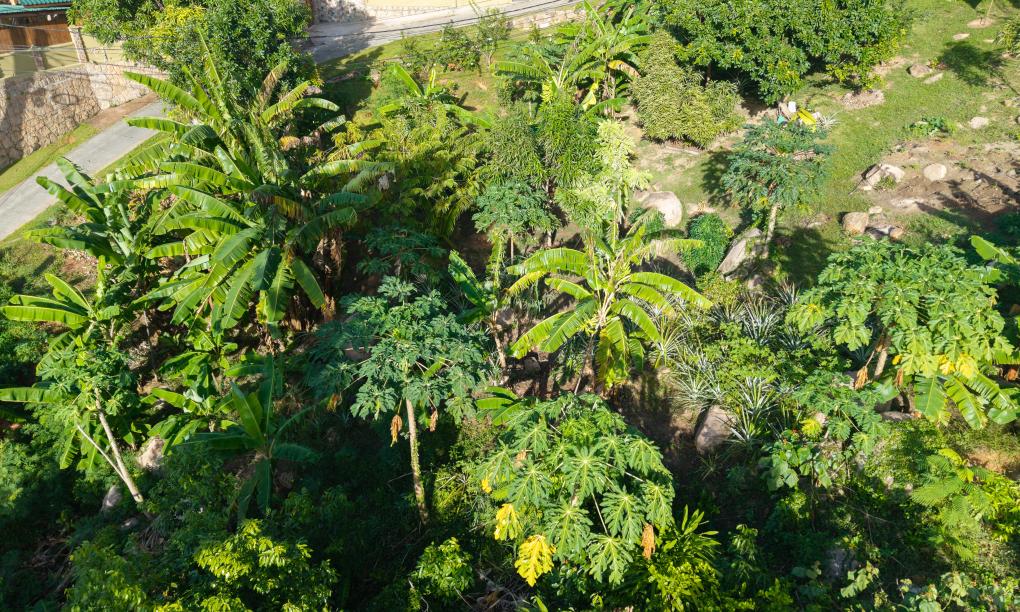 Paragon Luxury Villa