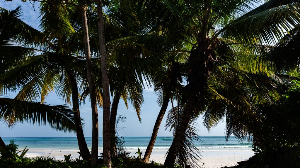 Foto 20: Paragon Luxury Villa - Praslin (Seychellen)