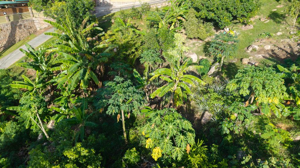 Foto 21: Paragon Luxury Villa - Praslin (Seychellen)