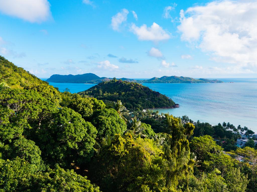 Paragon Luxury Villa - Photo 7