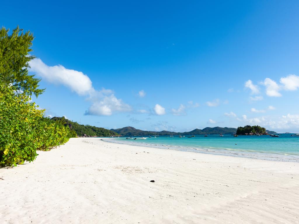 Paragon Luxury Villa - Photo 6