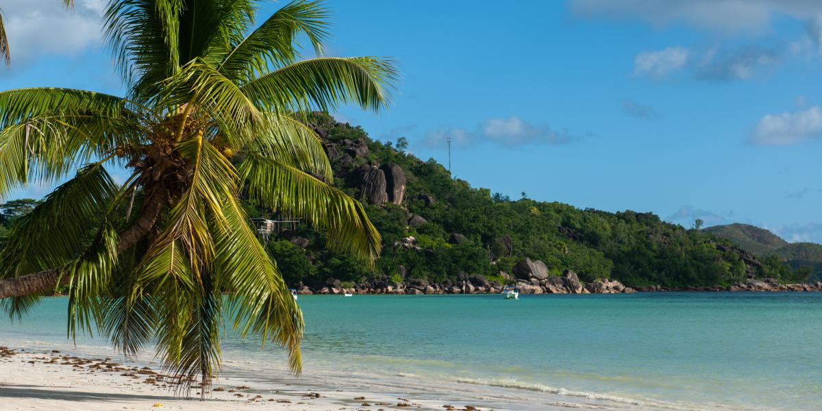 Paragon Luxury Villa