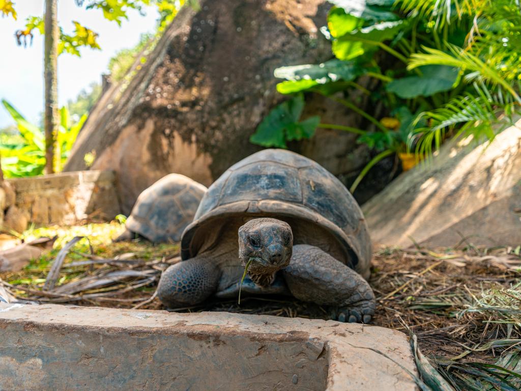 Jolie View - Photo 4