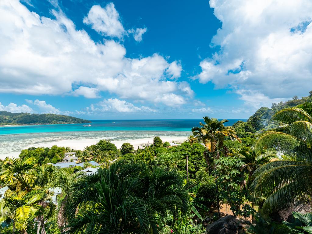 Jolie View - Photo 2