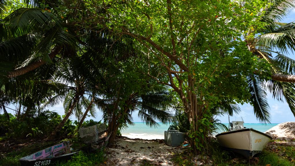 Photo 15: Chez Rona - Praslin (Seychelles)