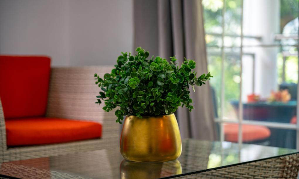 Elilia - 2-Bedroom House