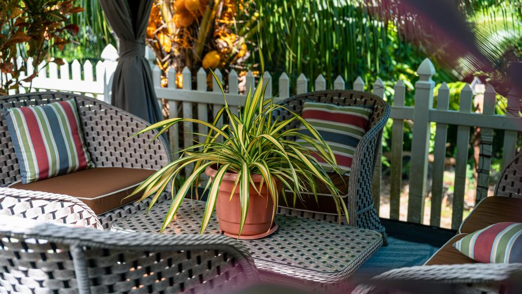 Photo 74: Elilia - Mahé (Seychelles)