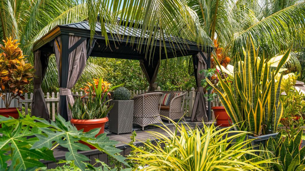 Photo 73: Elilia - Mahé (Seychelles)