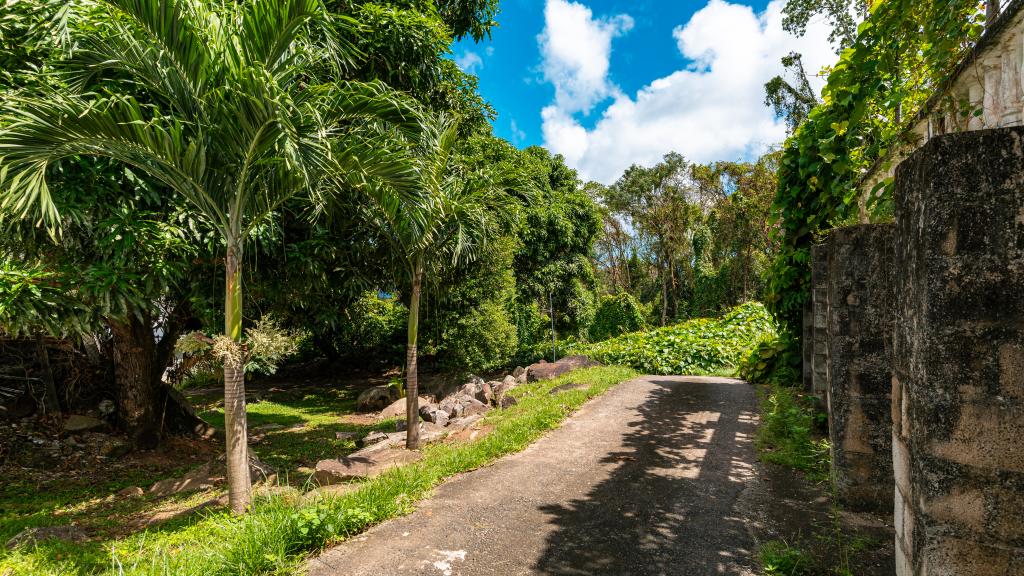 Photo 60: Elilia - Mahé (Seychelles)