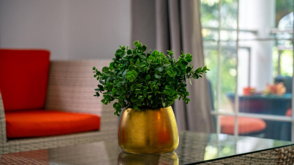 Photo 51: Elilia - Mahé (Seychelles)