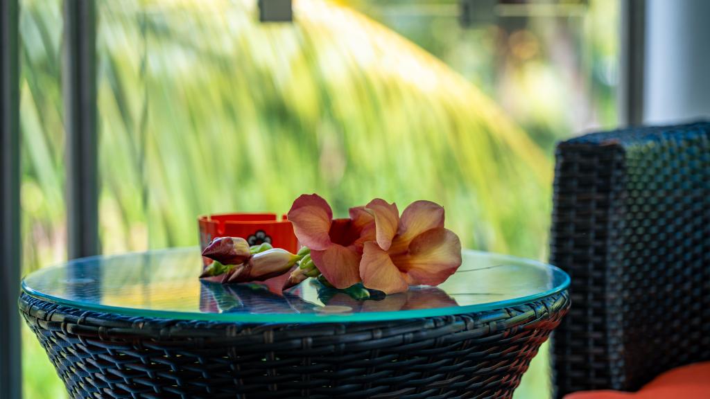 Photo 47: Elilia - Mahé (Seychelles)