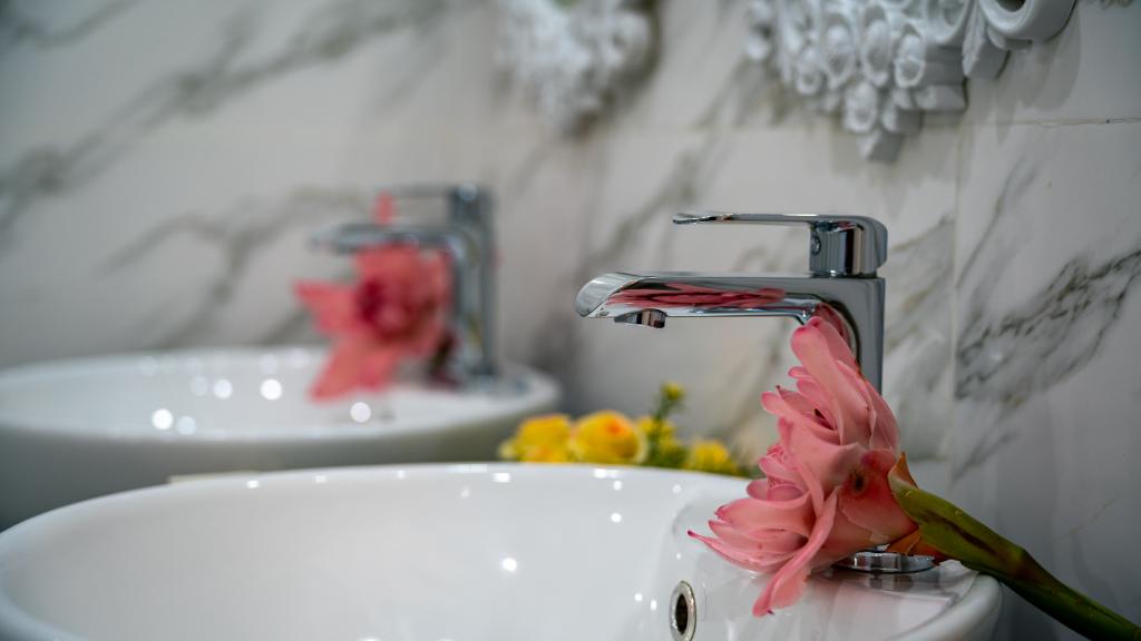 Photo 102: Elilia - Mahé (Seychelles)