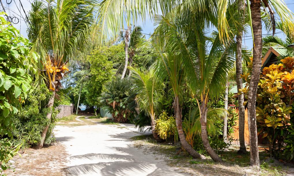 Roche Kerlan Apartments