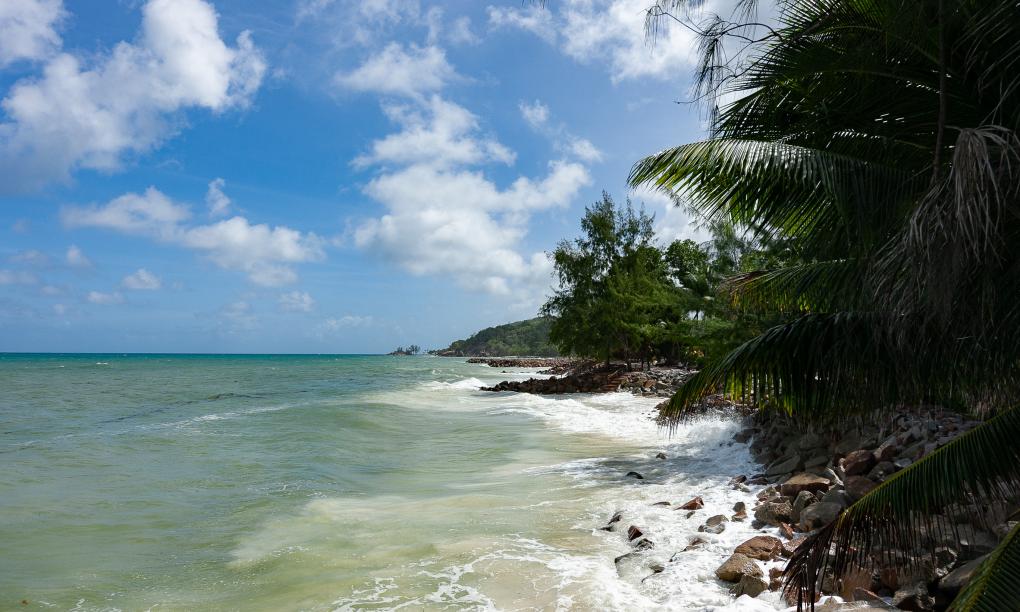 Roche Kerlan Apartments