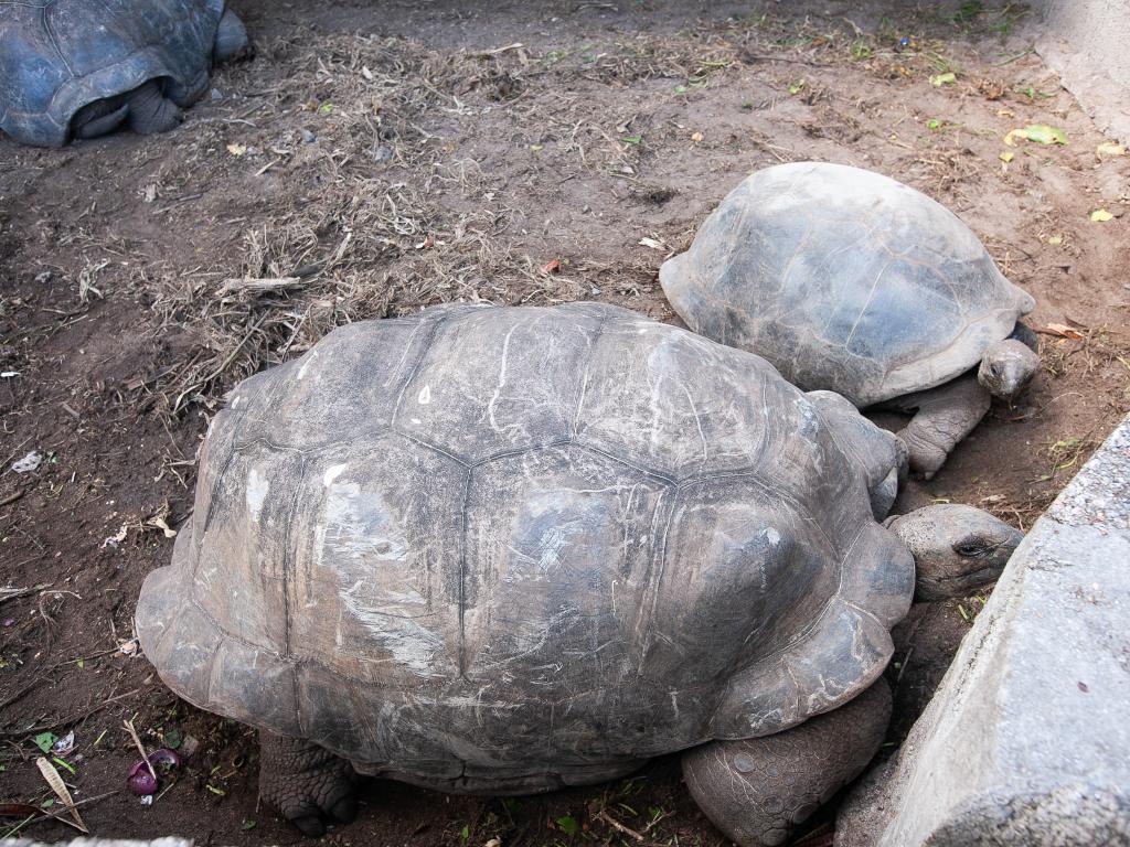 Roche Kerlan Apartments - Foto 4