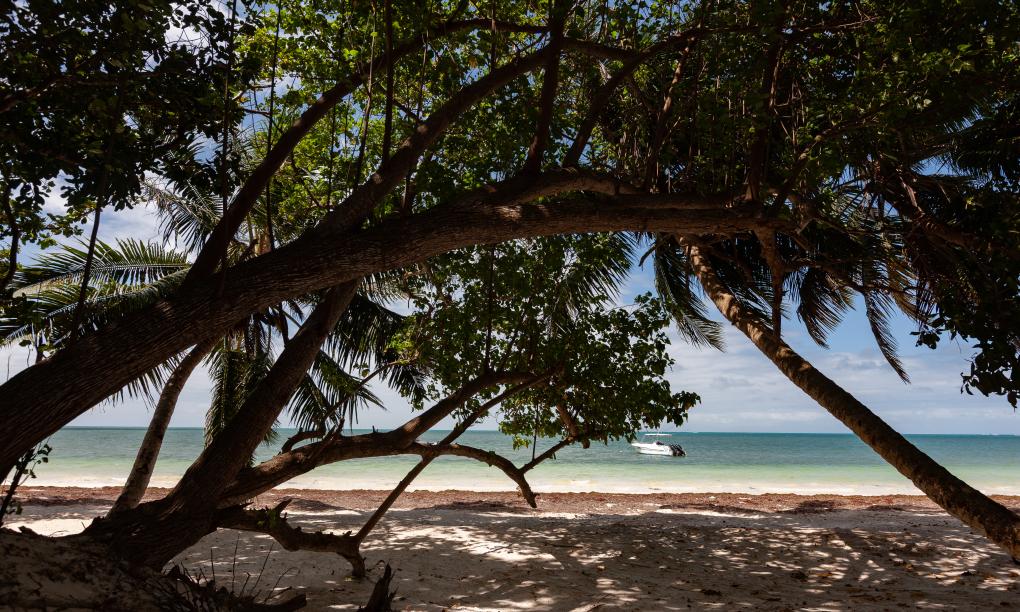 Praslin Orchid Villa