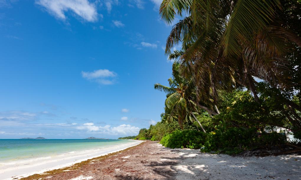 Praslin Orchid Villa