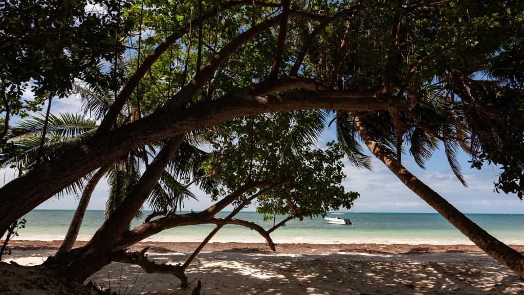 Foto 26: Praslin Orchid Villa - Praslin (Seychellen)